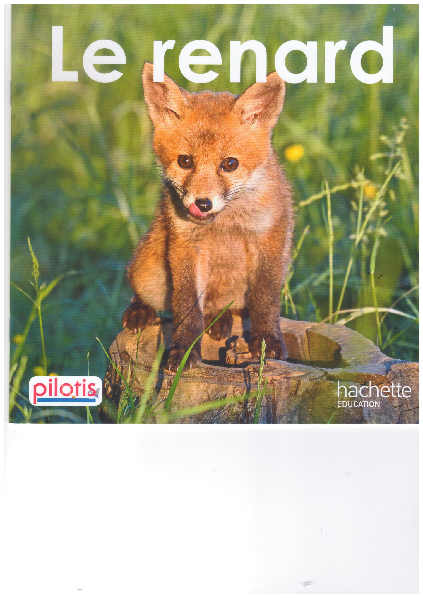 LECTURE CP - COLLECTION PILOTIS - LE RENARD - ALBUM - EDITION 2019