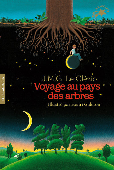 VOYAGE AU PAYS DES ARBRES