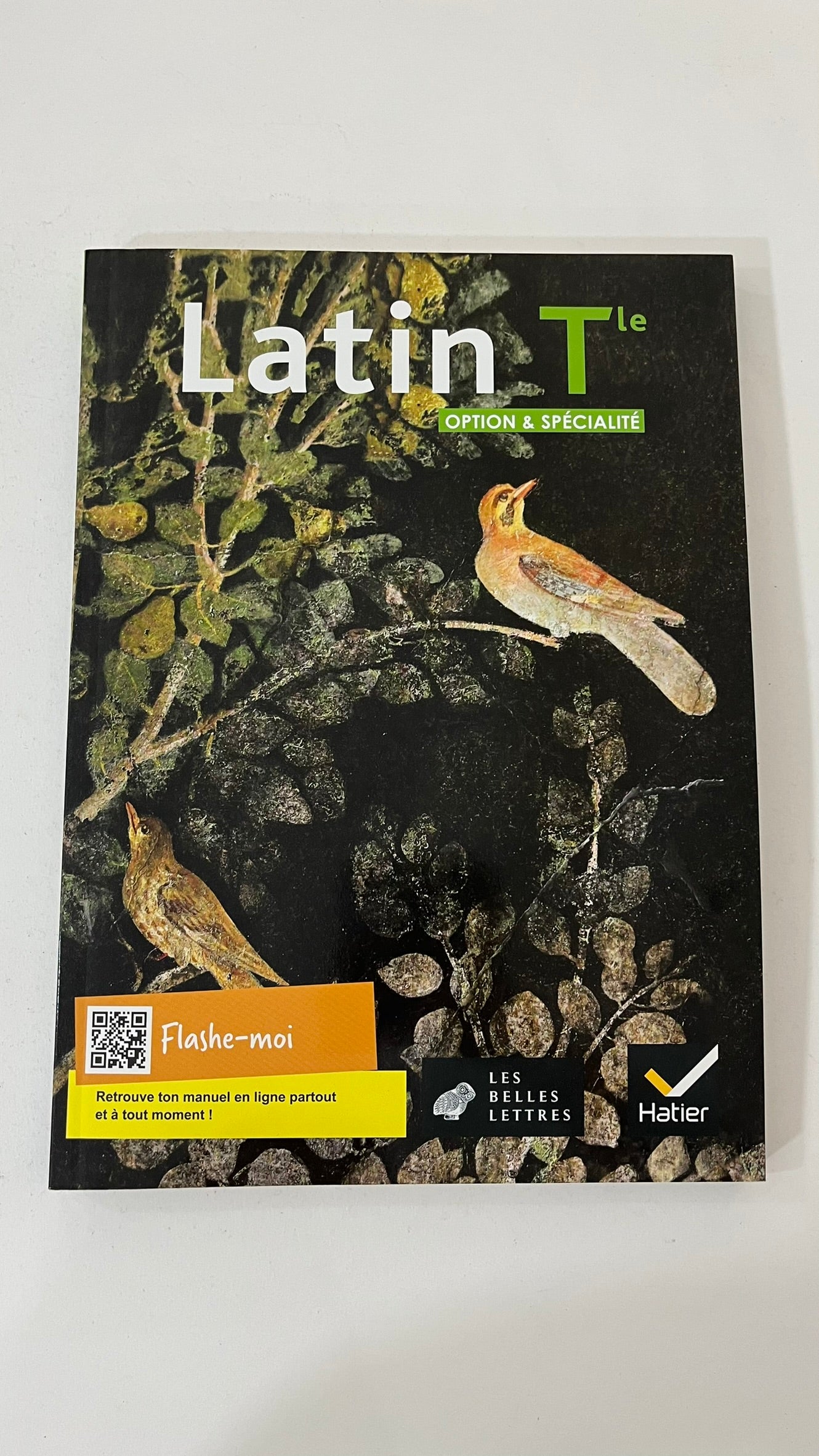 LATIN TLE OPTION ET SPECIALITE - ED. 2021 - LIVRE ELEVE