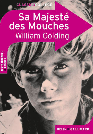 SA MAJESTE DES MOUCHES