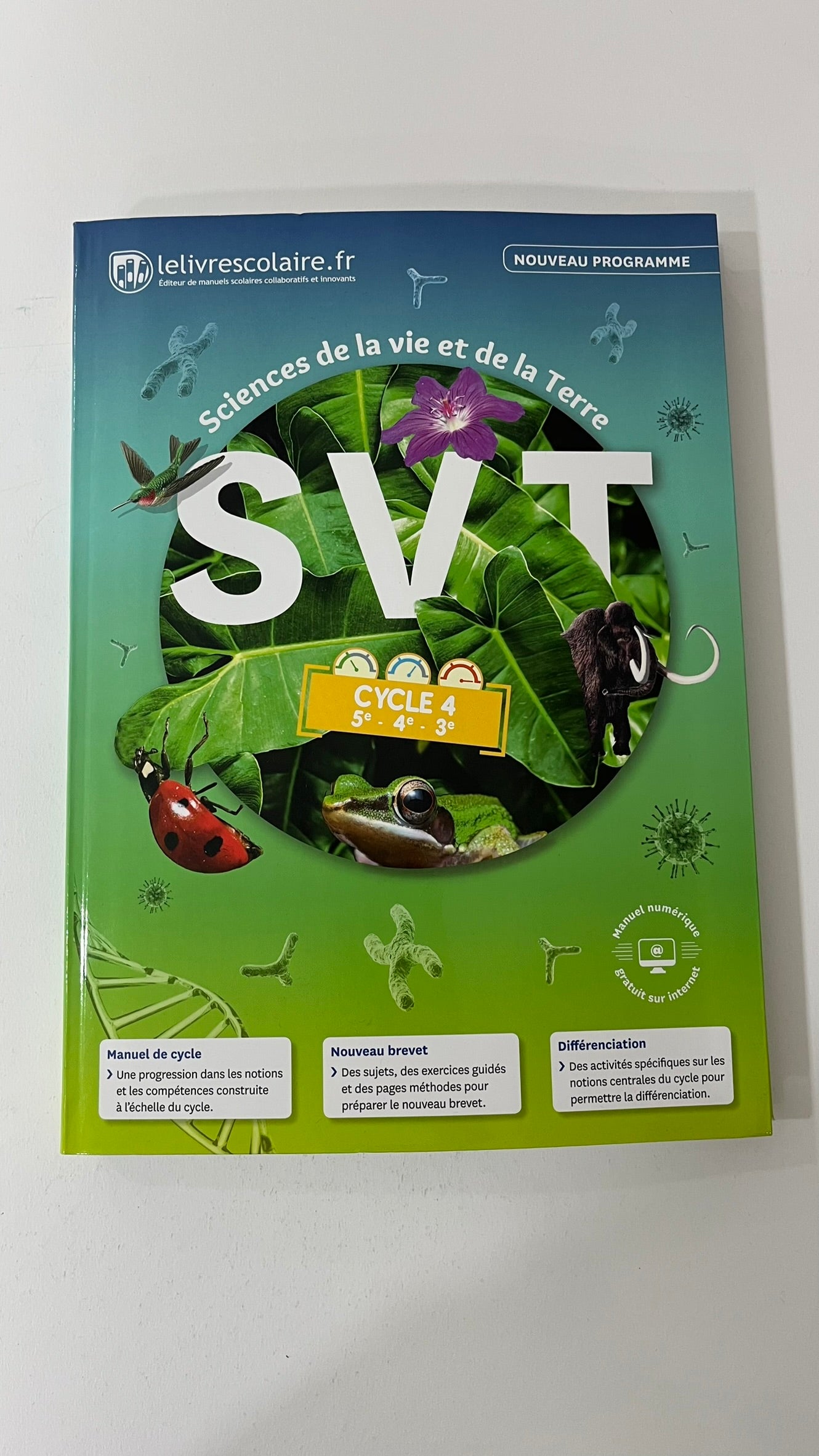SVT CYCLE 4, EDITION 2017